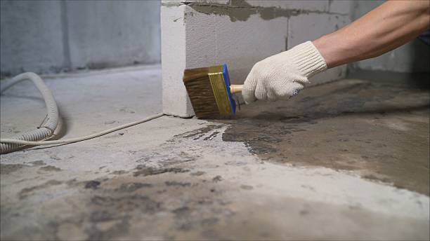 24/7 Emergency Crawl Space Encapsulation experts in Eden, NY